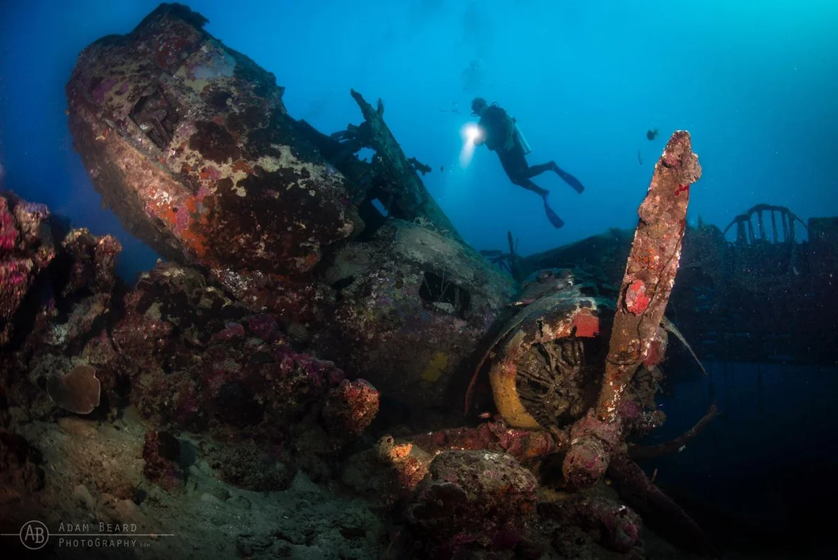 Catalina aircraft wreck