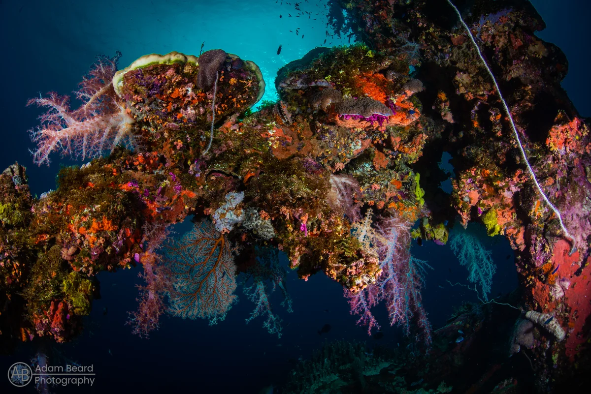 A diver exploring the Sankisan Maru wreck in Truk Lagoon