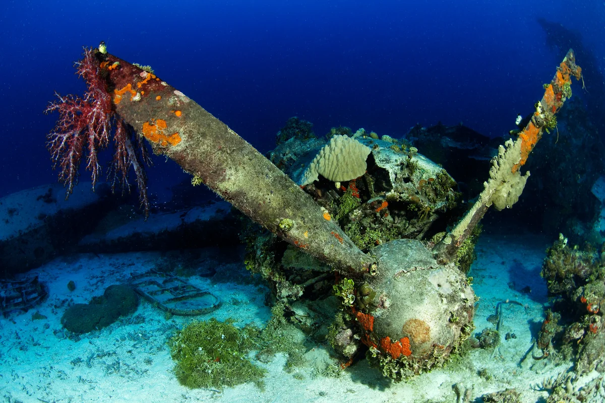 Emily flying boat wreck