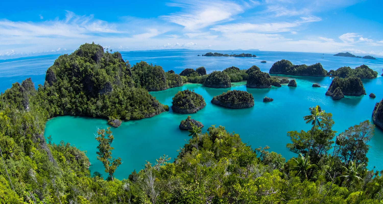 Colourful coral reef and fish in Indonesia