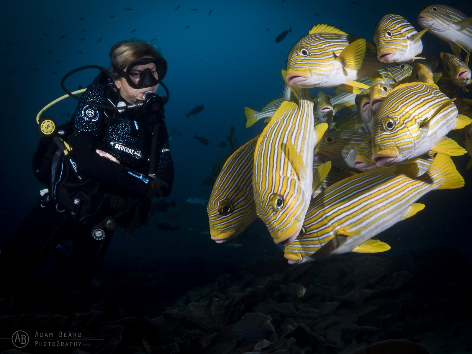 Make Your Dives Matter: Join a Citizen Science Adventure