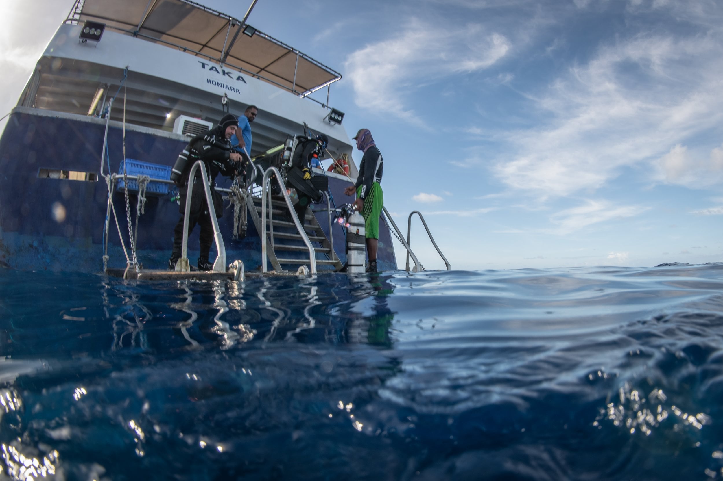 Dive platform and ladders