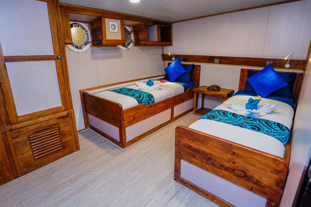 Convertible premium cabin