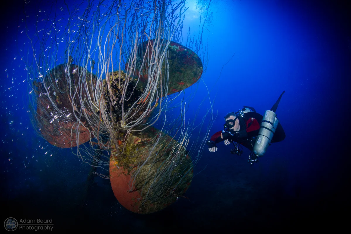 USS Apogon wreck