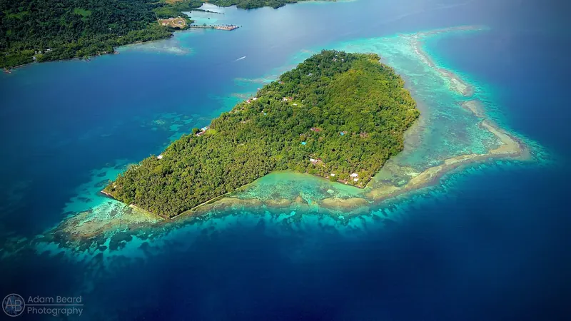 An aerial view of a tropical island and its turquoise reef